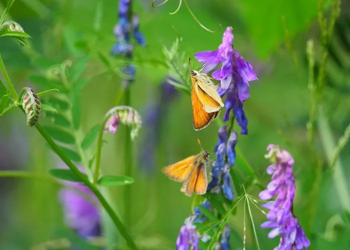 Apartamento Otterhaus *