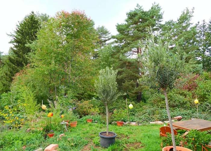 Apartamento Otterhaus Trippstadt